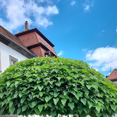 Gaestehaus Leonie Ebrach エクステリア 写真